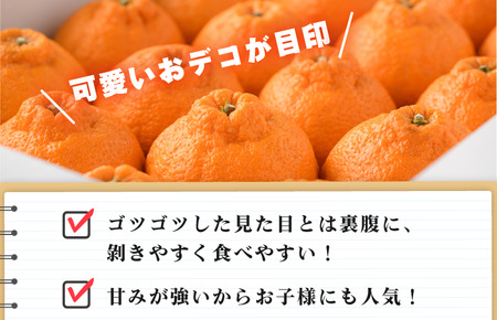 【先行予約】今治産　デコポン 2L～3L 18～20玉 JAおちいまばり　３～４月発送 [KB02510]