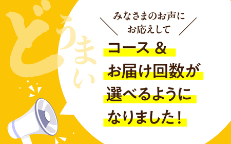 【定期便】どうまい定期便 全5回 Bコース