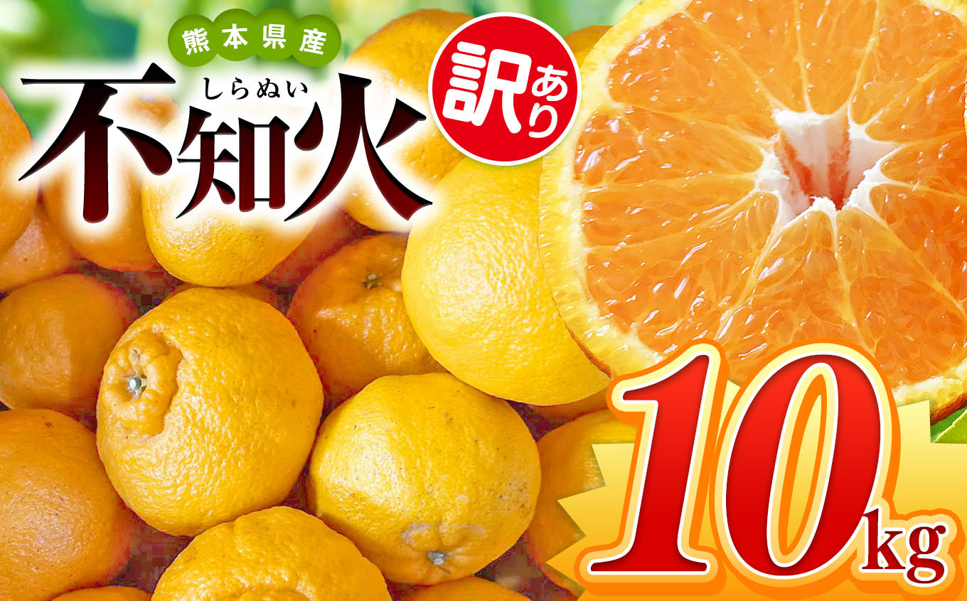 
            【 先行予約 】 訳あり 不知火 約 10kg 池田農園 | 柑橘 みかん フルーツ 和製 わけあり 訳アリ 家庭用 果物 熊本県産 熊本県 熊本 くまもと 和水町 なごみまち なごみ ミカン 柑橘類 果物 フルーツ 
          