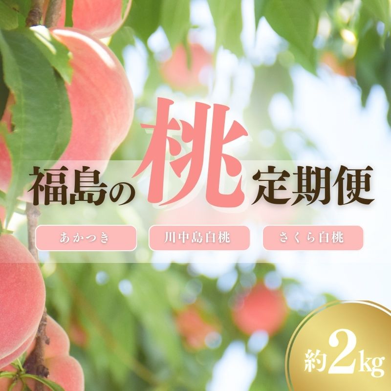 【ふるさと納税】No.2791福島の桃3種定期便 各2kg【2025年発送】