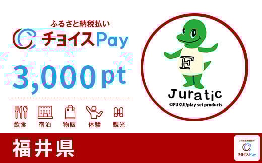 
福井県チョイスPay 3,000pt（1pt＝1円）（寄付の使い道に「福井県アンテナショップ応援」を選択された県外在住の方のみ）【会員限定のお礼の品】
