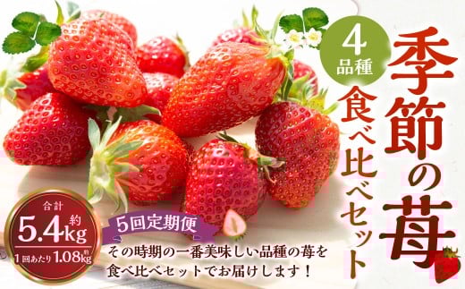 【5回定期便】よかもんいちご 4品種食べ比べセット 【2025年12月上旬から2026年4月下旬 毎月出荷予定】 いちご 苺 イチゴ 旬 フルーツ 果物 くだもの 果実 冷蔵 福岡県 うきは市