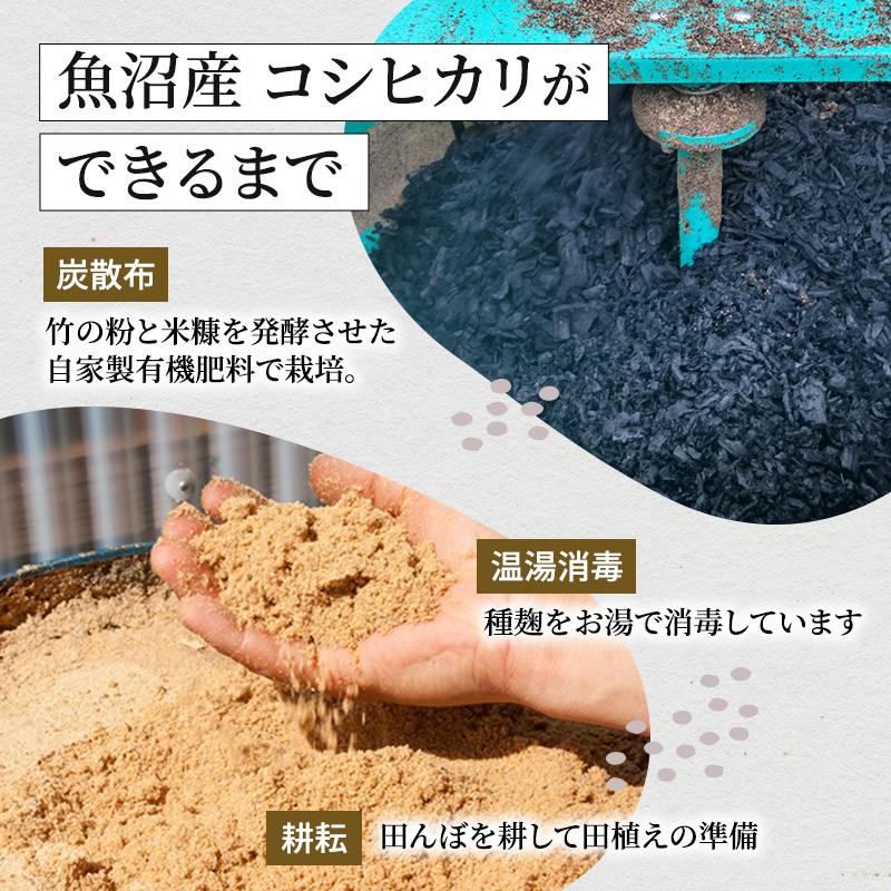 令和8年産 無洗米 米食味鑑定士 厳選 魚沼産 コシヒカリ 6kg （ 3kg × 2袋 ）  米 こしひかり 6kg お米 新潟 魚沼 魚沼産コシヒカリ 魚沼産こしひかり こめ 新潟県 