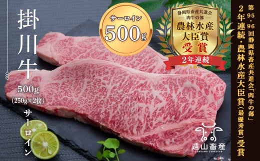 ５９９５　牛肉 掛川牛「和牛」サーロイン500ｇ(250g×2枚)　遠山畜産