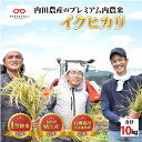 【ふるさと納税】【令和5年産】福井県産 内農米 イクヒカリ 10kg [B-00510]　/ 減農薬米 白米 鯖江市