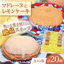 【ふるさと納税】【当店自慢！焼き菓子詰め合わせ】レモンケーキ と マドレーヌ 計20個入【栗まんじゅう本舗 小田製菓】[QAR011]