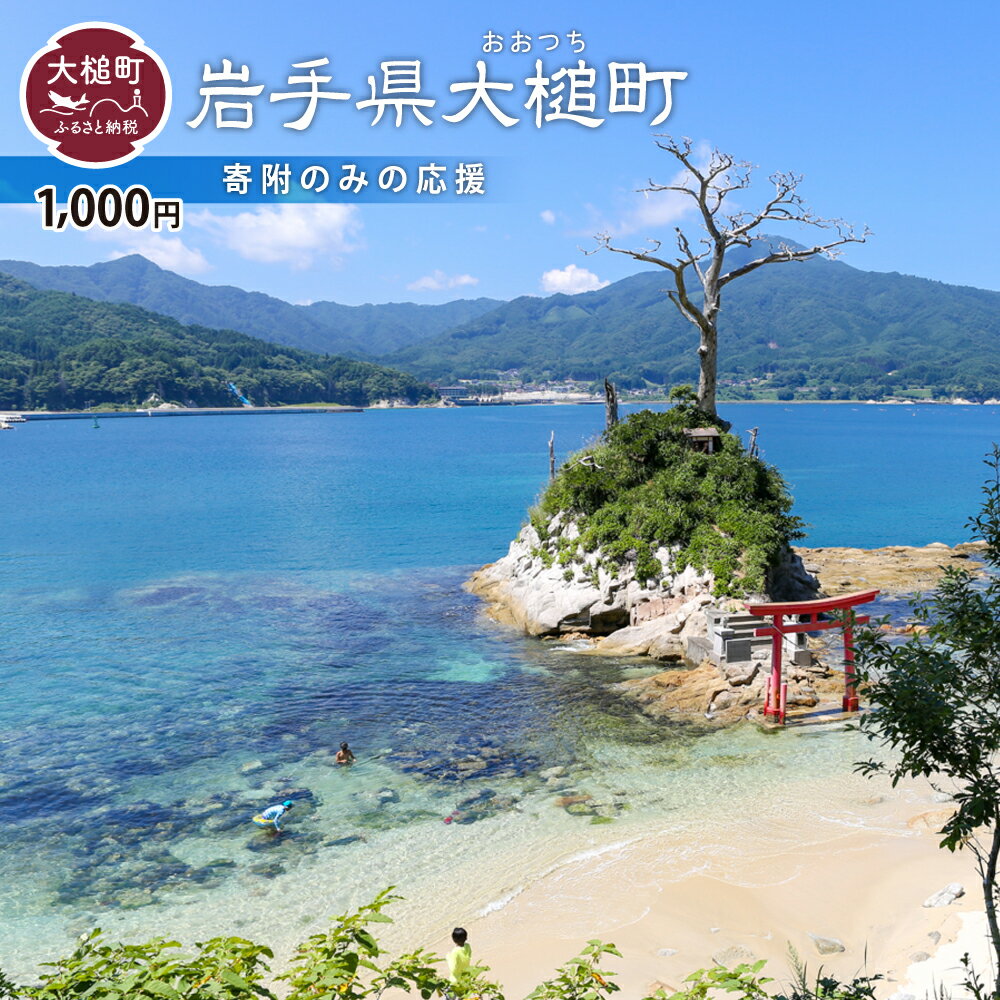 【ふるさと納税】≪返礼品なし≫ 岩手県 大槌町 1,000円
