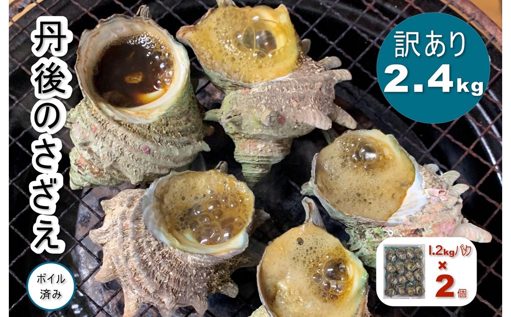 
                  訳あり　京都府産　さざえ（ボイル済）2.4kg（約24～48個）　TB00061
                