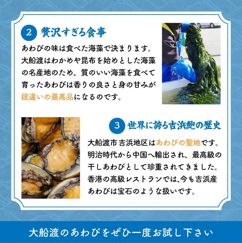 【スピード発送】 冷凍 蝦夷あわび 5個