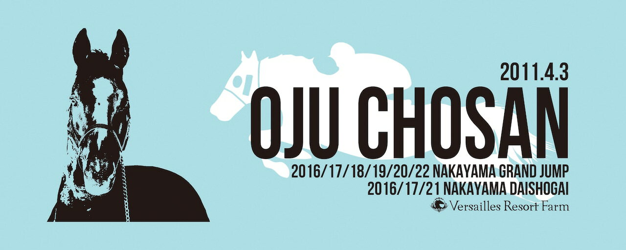 【ふるさと納税】【オジュウチョウサン】シャーリングフェイスタオル【 ふるさと納税 人気 おすすめ ランキング 馬 競馬 競走馬 オジュウチョウサン 北海道 平取町 送料無料】 BRTV010
