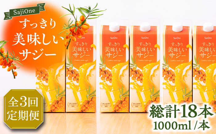 【全3回定期便】家族みんなでおいしく飲める！ すっきり美味しい サジー 6本 《豊前市》【ハウスボトラーズ】 [VAX048]