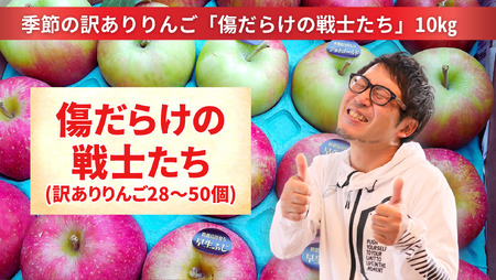 【訳あり】傷だらけの戦士たち 季節のりんご MIX 10kg 2種類以上お届け 果物 旬 りんご
