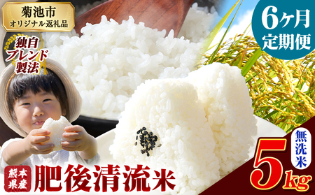 【6ヶ月定期便】熊本県産 肥後清流米 無洗米 5kg ブレンド米 熊本県産 ふるさと納税 精米 米 こめ ふるさとのうぜい コメ お米 おこめ《1月から出荷開始》