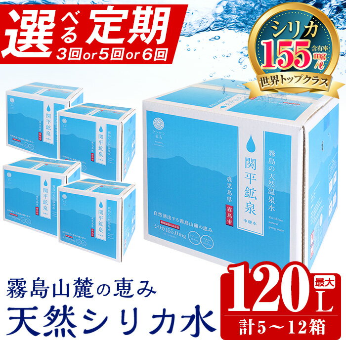 【ふるさと納税】《選べる定期》関平鉱泉水10L(2箱×3回・1箱×5回・2箱×6回)定期便♪ 水 ミネラルウォーター 温泉水 シリカ シリカ水 ミネラル成分 飲料水 天然水【関平鉱泉所】