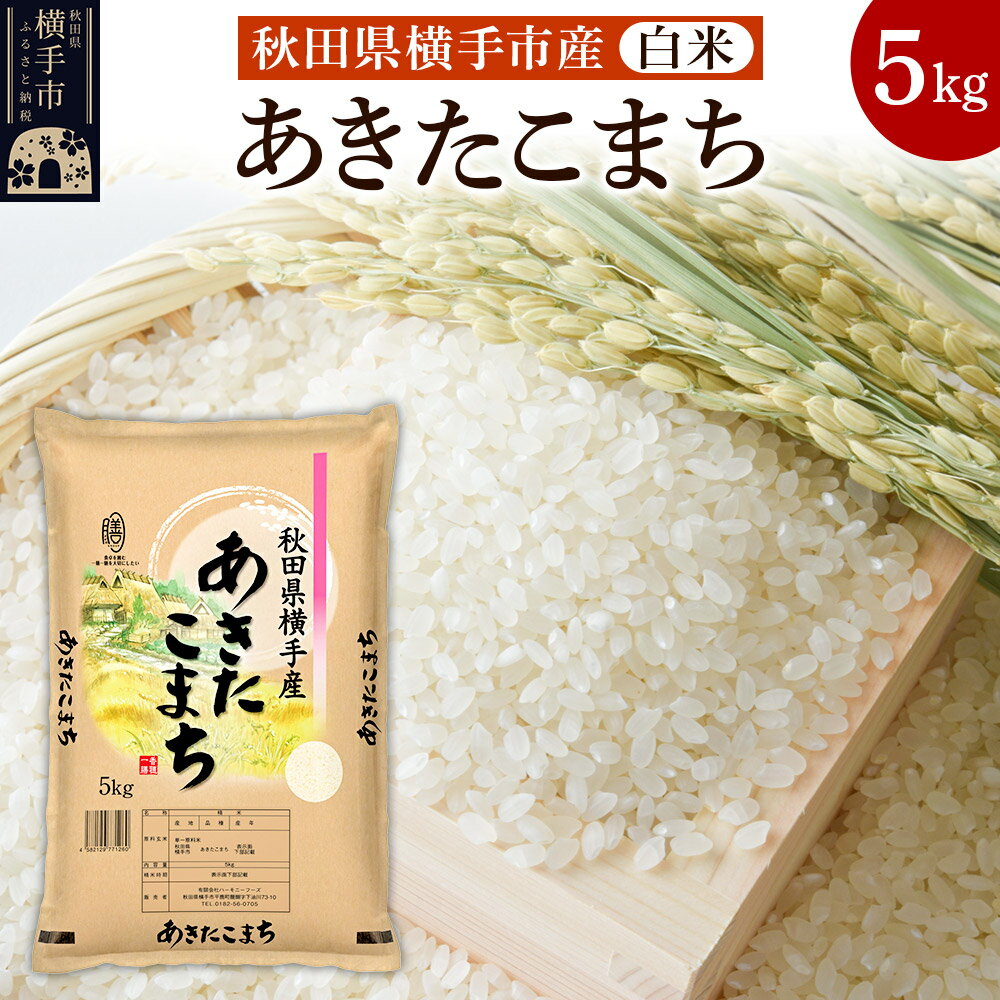【ふるさと納税】【白米】令和7年産 横手市産 あきたこまち 5kg