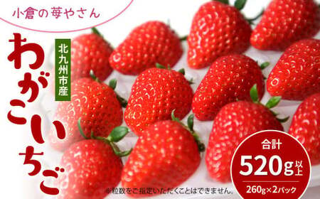 【2025年3月12日まで受付】小倉の苺やさん「わがこいちご」260g×2パック 合計520g以上【2025年1月上旬～3月下旬発送予定】福岡県 いちご イチゴ 果物 旬 新鮮 朝摘み 完熟 フルーツ 冷蔵 国産 北九州市産