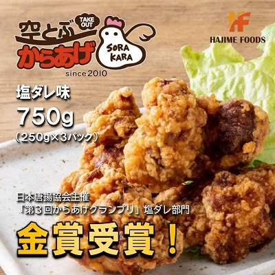 空とぶからあげ 750g(250g×3パック)オカンの特性塩ダレ味 電子レンジで温めるだけ 冷凍便【配送不可地域：離島】【1257667】