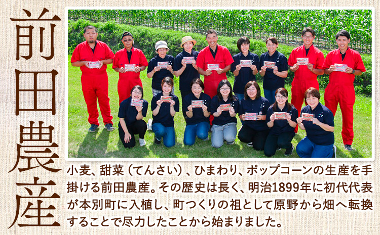 北海道十勝前田農産パン用小麦粉「春よ恋」1kg×10袋 計10袋 有限会社 十勝太陽ファーム 送料無料 北海道 本別町《60日以内に出荷予定(土日祝除く)》北海道 本別町 パン 小麦粉 小麦 10kg