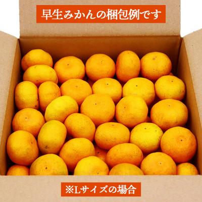 ふるさと納税 長崎市 【発送月固定定期便】柑橘 お楽しみ定期便 みかん ポンカン 不知火など フルーツおまかせ便全3回 |  | 02