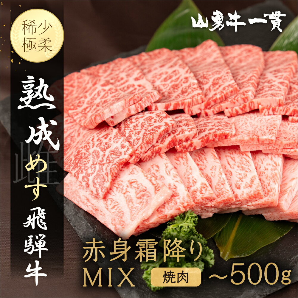 【ふるさと納税】熟成肉 飛騨牛『山勇牛』 赤身 霜降り MIX 焼肉用 30日以上熟成 A4・A5ランク 飛騨牛 牛肉 和牛 肉 熨斗掛け［Q3224］20000円 30000円