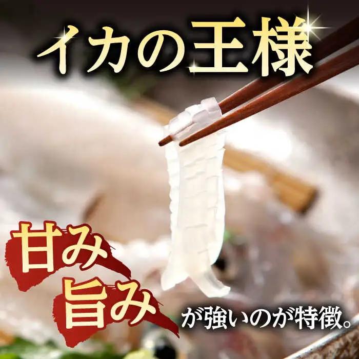 アオリイカ（水イカ）1,500g前後 [JCG019] イカ 刺身