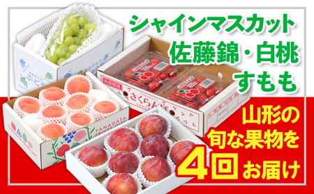 【定期便4回】☆フルーツ王国山形☆『佐藤錦、白桃、すもも、シャインマスカット』 FY25-311