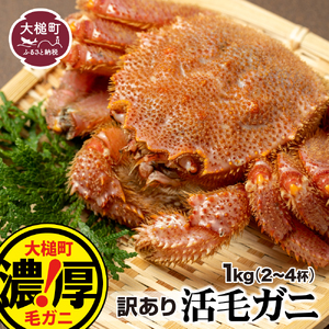 【令和9年発送】【訳あり】三陸産 活毛ガニ 1kg(3～4杯)【08】【2027年2月～4月発送】先行予約｜訳ありカニ 国産 冷蔵 三陸 濃厚 かに 蟹 カニ 毛ガニ 毛蟹 毛がに けがに 天然【配送日指定不可】
