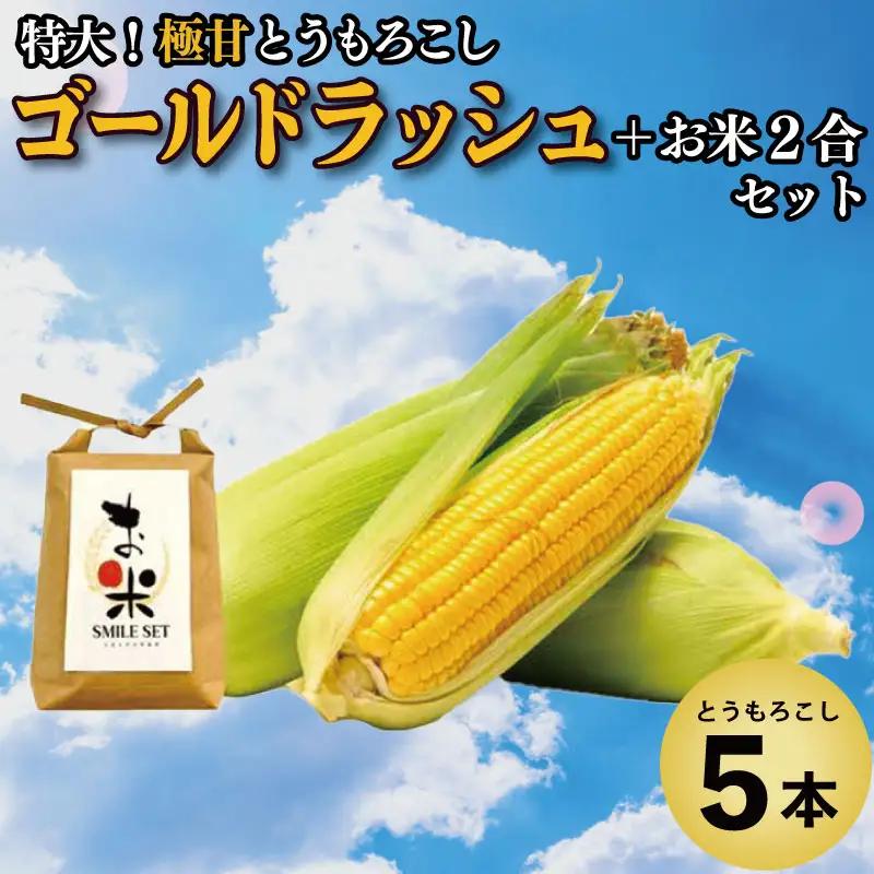 とうもろこし ゴールドラッシュ 5本 米 2合 セット 先行予約 とうもろこし 米