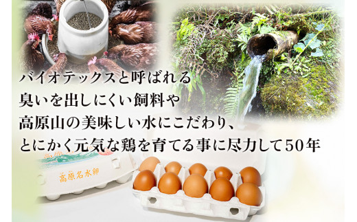 [定期便／6ヶ月] 高原名水卵 60個×6か月連続 豊かな自然で育ったアスタキサンチン含有の高原名水卵【感動の甘さと濃さ】｜こだわり卵 たまご タマゴ 玉子 生卵 鶏卵 高原養鶏場 矢板市産 