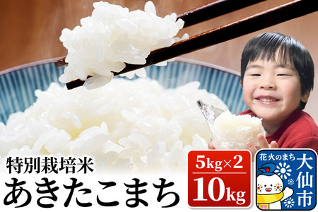 米 令和7年産【特別栽培米】あきたこまち【精米】10kg（5kg×2）
