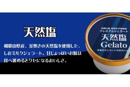 プレミアムジェラート 天然塩12個セット アイスクリームセット 100mlカップ ゆあさジェラートラボラトリー【ntbt700-04】