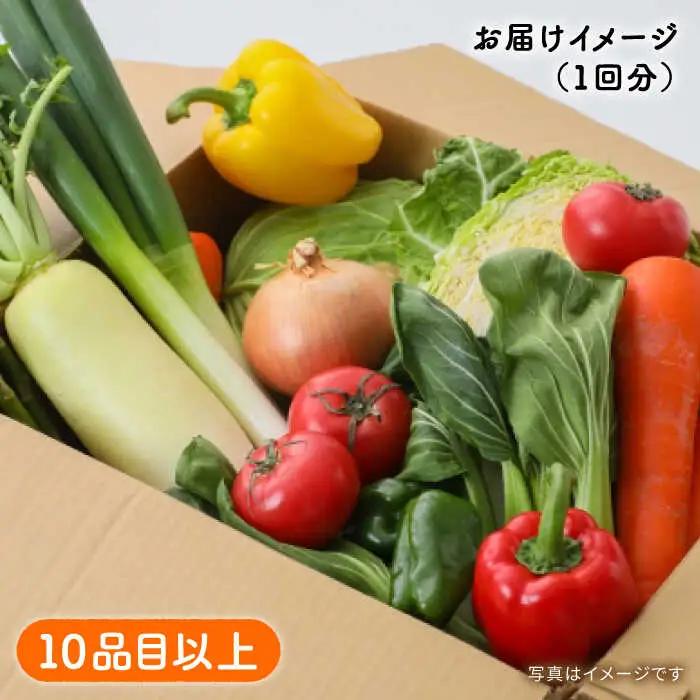 【6回定期便】野菜定期便 10品目以上 野菜定期便 / ミナサポ  [SCW046]