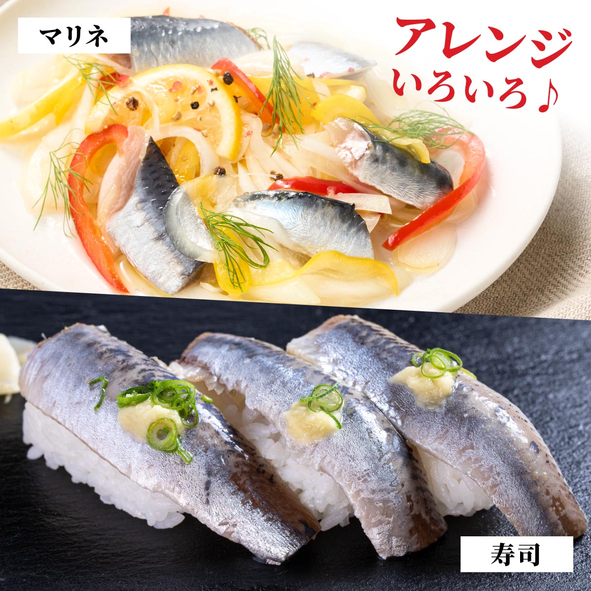 北海道産「刺身いわし」【20枚×4パック（40尾分）】