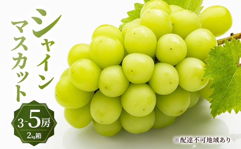 
                  ぶどう 2026年 先行予約 シャイン マスカット 2kg箱 3～5房 大粒 種無し ブドウ 葡萄 岡山県産 国産 フルーツ 果物 ギフト MAKANAファーマーズ 果物類 シャインマスカット
                