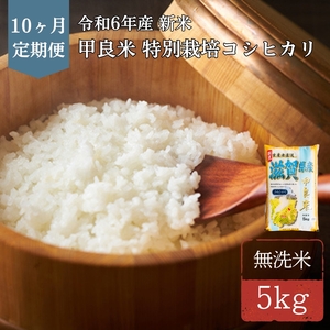 400個限定【令和6年産新米】甲良米 特別栽培コシヒカリ 無洗米 5kg 10ヶ月連続