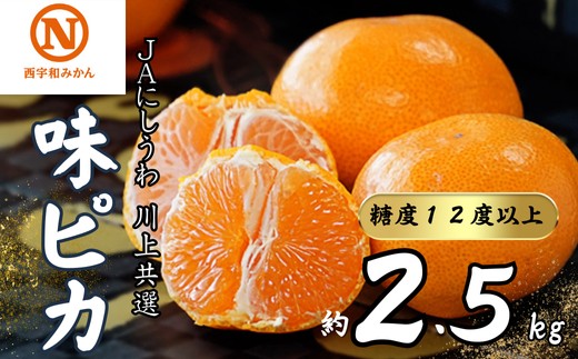 
                  【先行受付】JAにしうわの季節の柑橘(川上共選味ピカ2.5kg)【C08-78】みかん ミカン 蜜柑 果物 くだもの フルーツ デザート おいしい 甘い かんきつ 柑橘 柑橘類 国産 愛媛 えひめ 愛媛県 八幡浜市【1510453】 YWTV035
                