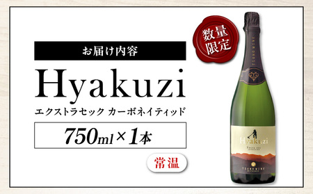 【数量限定】Hyakuzi エクストラセック カーボネイティッド(計1本) _T014-007【 酒 飲料 アルコール 国産 人気 ワイン ギフト ワイン 食品 ワイン お酒 ワイン飲み比べ ワイン 