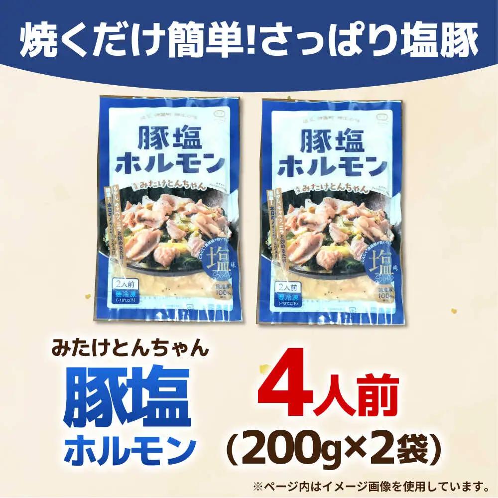 岐阜県産豚もつの鉄板焼き「元祖みたけとんちゃん」豚塩味（4人前）[AVAA038]ホルモン 塩