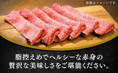 佐賀牛赤身スライス400g / 佐賀県 / 田中畜産牛肉店 [41ARAA006]