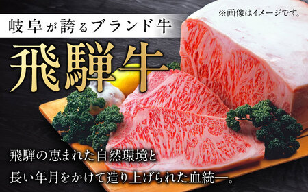 【6回定期便】 飛騨牛 切り落とし 500g 等級 部位お任せ 化粧箱入り すき焼き 鍋 スライス 牛肉 岐阜市 / だるまミート[ANBE015]