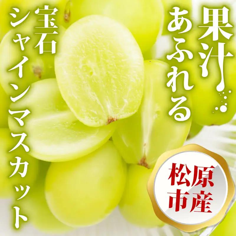 【シャインマスカット】 大粒 先行予約 1kg 2房 シャインマスカット