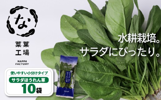 葉野菜 サラダ ほうれん草 | ほうれんそう ホウレンソウ 水菜 ミズナ 生食 野菜 セット 新鮮 健康 人気 おすすめ 高知県 南国市