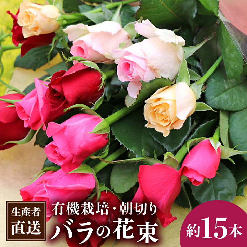 【ふるさと納税】朝切りバラの花束 約15本 赤・ピンク・黄色ミックス 約50〜60cm 有機栽培 生産者直送 埼玉県白岡市 小山農園 | 薔薇 ばら ローズ 生花 切り花 ブーケ フラワーギフト 誕生日 記念日 お祝い 母の日 敬老の日 花持ち 新鮮
