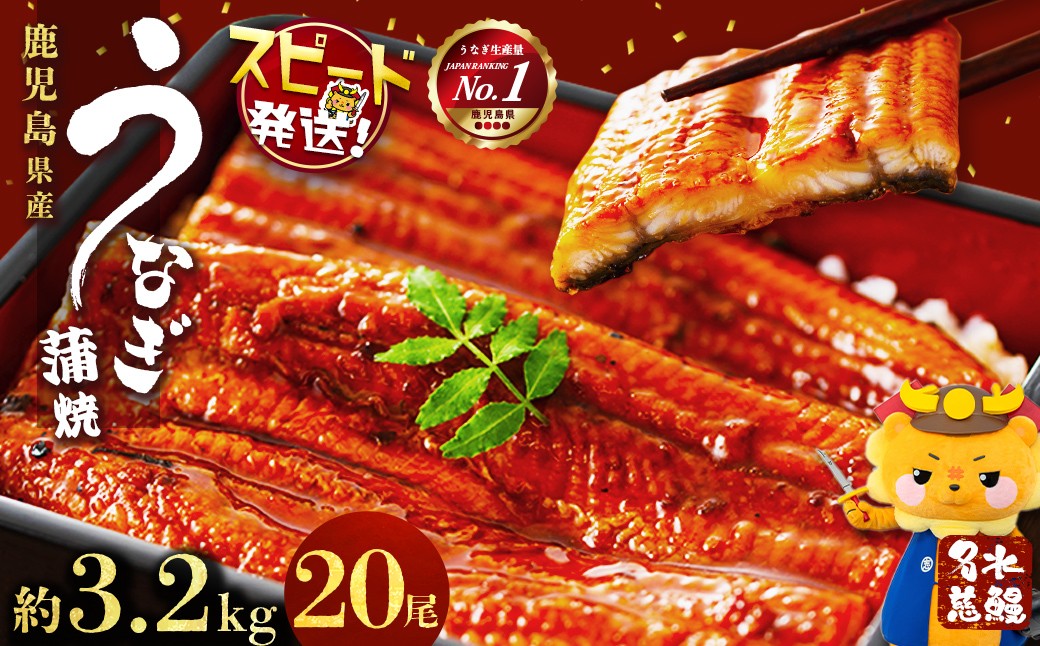 
鹿児島県産うなぎ蒲焼 名水慈鰻 20尾(1尾約160g)＜計約3.2kg＞ wa4-001
