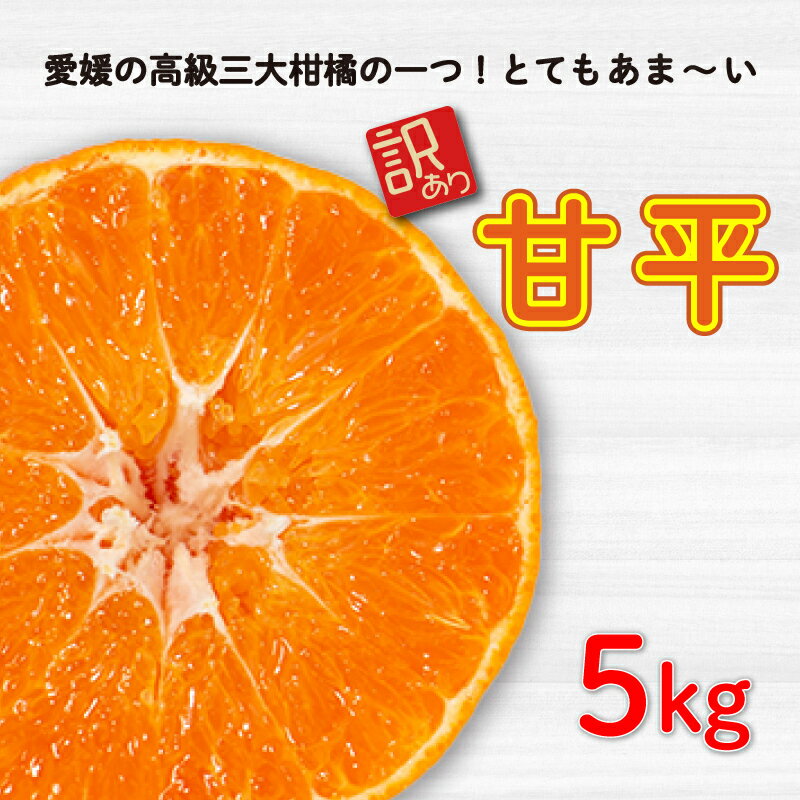【ふるさと納税】 先行予約 訳あり 甘平5kg みかん 蜜柑 mikan 甘平 ポンカン 高級 人気 ブランド 柑橘 果物 フルーツ 甘い おいしい お取り寄せ 数量限定 産地直送 農家直送 国産 特産品 中山農園 愛媛県 愛南町