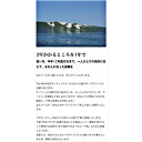 【ふるさと納税】【サーフボード】Kei okuda personal surfing school マリンスポーツ サーフィン ボード サーフボード 海 　【 スクール マリンスポーツ サーフィン 波乗り ボード 海 】