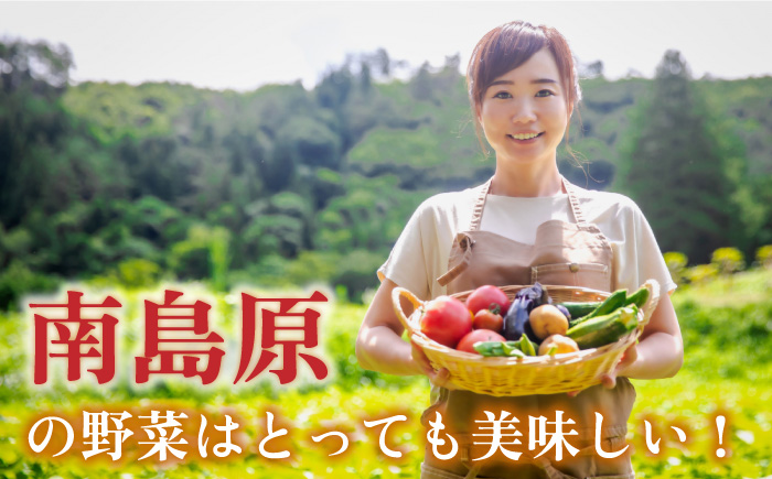 季節の野菜 15種類 セット 旬 産地直送 詰め合わせ / 野菜 南島原市 / ふるさと企画 [SBA023]