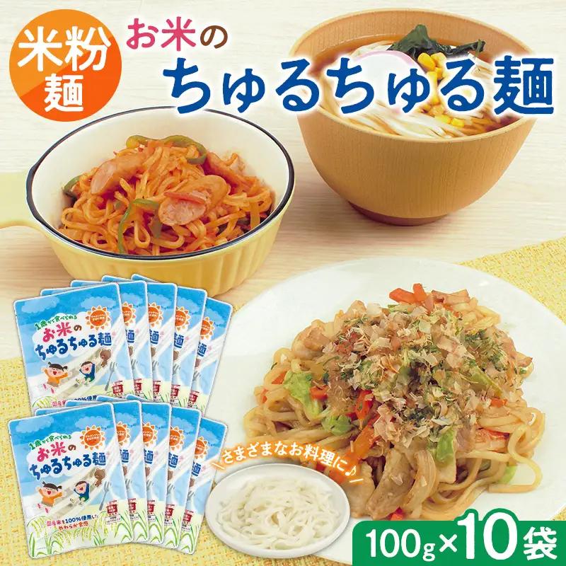 【米粉麺】お米のちゅるちゅる麺 100g×10袋 FY26-113