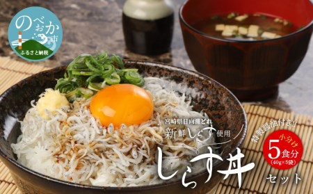 しらす丼セット(40g×5袋)特製醤油付き N065-YA0221