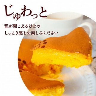 TKA016　じゅわっと半熟たまごカステラ もっちりとろける食感と、コクのあるたまごの風味がクセになる半熟卵カステラ 2個入り 個包装 高知 返礼品 スイーツ 人気 お土産 お取り寄せ 冷凍 高級 お